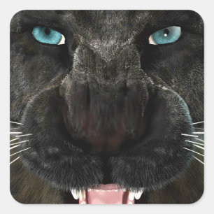 Pegatina Cuadrada Gran Gato Pantera Negra