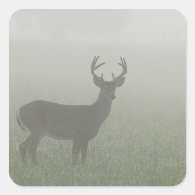 Pegatina Cuadrada Gran Parque Nacional de las Montañas Smoky, Tennes (Anverso)