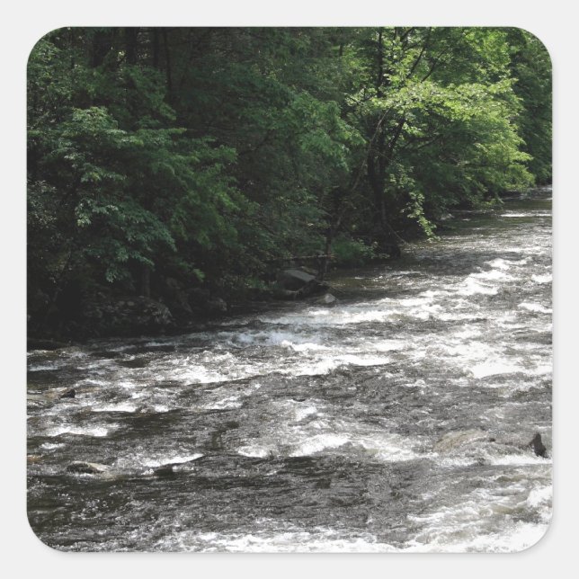 Pegatina Cuadrada Gran Parque Nacional de Montañas Smoky (Anverso)