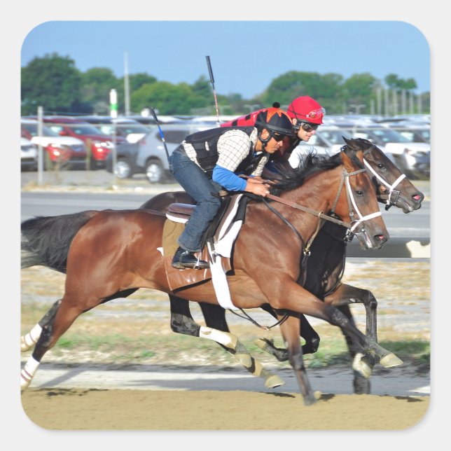 Pegatina Cuadrada Grandes brotes de arena (Anverso)