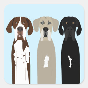 Pegatina Cuadrada Grandes perros daneses
