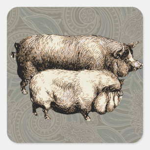 Pegatina Cuadrada Granja Antigüa Cerdo País Antigüedad Ganado