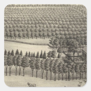 Pegatina Cuadrada Granja sin amor, Nebraska
