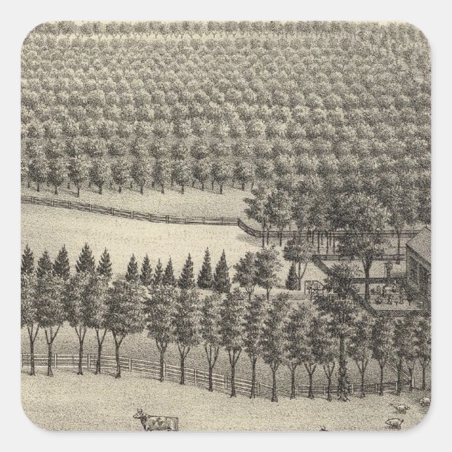 Pegatina Cuadrada Granja sin amor, Nebraska (Anverso)