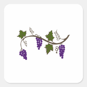 PEGATINA CUADRADA GRAPEVINE