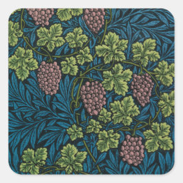 Pegatina Cuadrada  Grapevines with clusters of pink grapes 