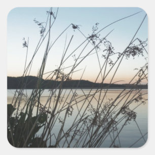 Pegatina Cuadrada Grasas en el lago Sunset