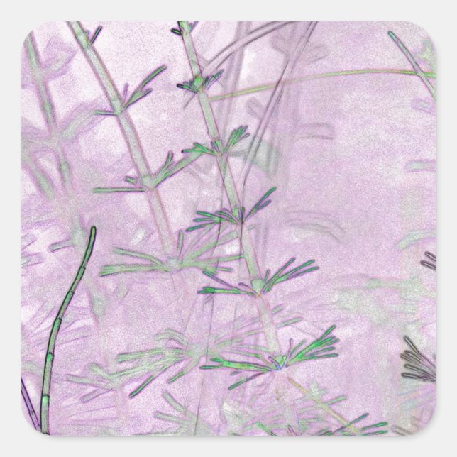 Pegatina Cuadrada Grasas/Estrellas de cola de caballo (Anverso)