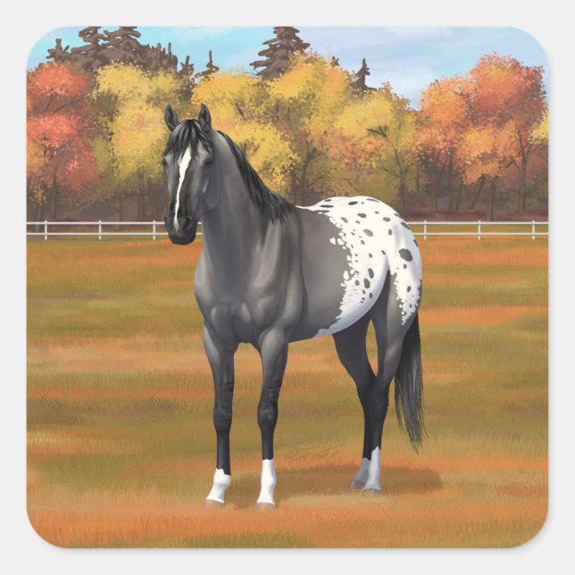 Pegatina Cuadrada Gray Grulla Appaloosa Quarter Stallion (Anverso)