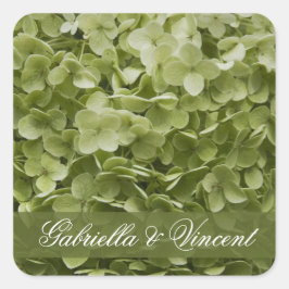 Pegatina Cuadrada Green Annabelle Hydrangea Boda Floral