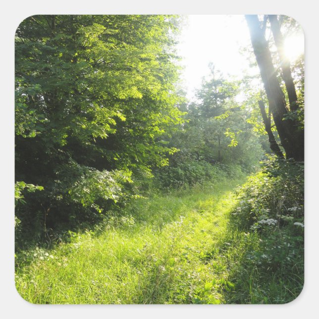 Pegatina Cuadrada Green Forest Meadow (Anverso)