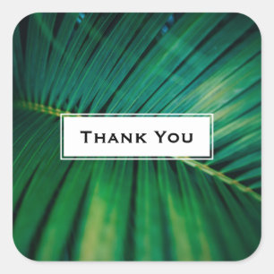 Pegatina Cuadrada Green Leaf Palm Frond Tropical Nature Gracias