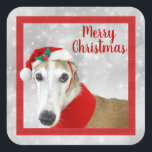 Pegatina Cuadrada Greyhound Merry Christmas<br><div class="desc">Navidades de Greyhound -un hombre de la cabeza rojo y un galgo blanco vestido con un sombrero de Santa y un collar rojo ambientado en un fondo de nieve gris plateado. Enmarcado con un marco cuadrado rojo. Feliz Navidad con el tipo de letra rojo se puede personalizar con tu mensaje....</div>