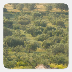 Pegatina Cuadrada GRIEGO, Islas Jónicas, KEFALONIA, Havriata: