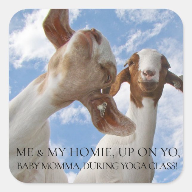 Pegatina Cuadrada Grietas sabias de yoga de cabra (Anverso)