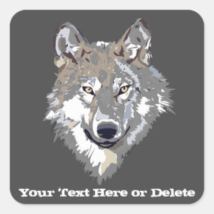 Pegatina Cuadrada Gris animal de Lobo solitario de texto/color