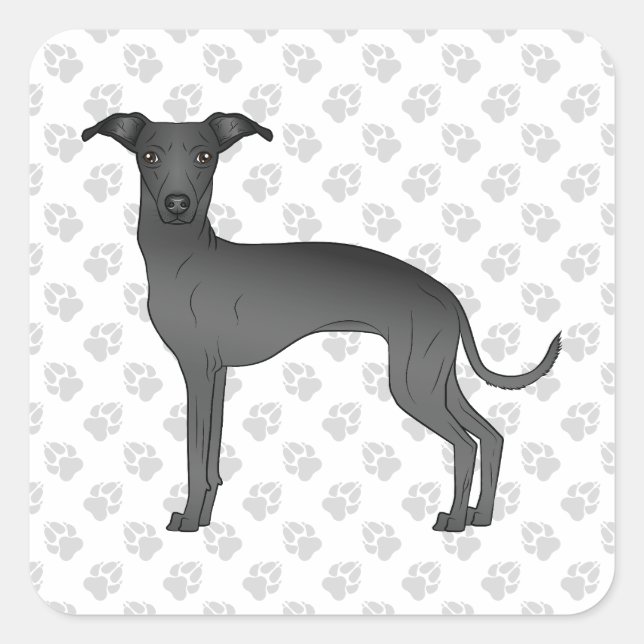 Pegatina Cuadrada Gris negro italiano perro de caricatura con patas (Anverso)