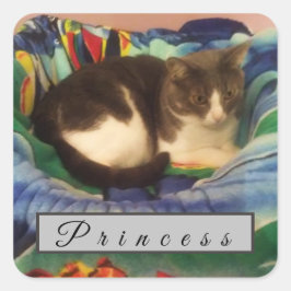 Pegatina Cuadrada Gris y gato doméstico de pelo corto personalizado