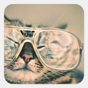 Pegatina Cuadrada Guay Kitty en gafas sobredimensionadas
