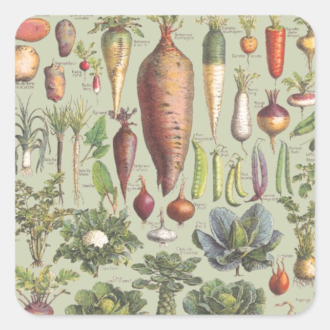 Pegatina Cuadrada Guía Francesa Del Jardín (Anverso)