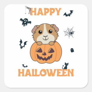 Pegatina Cuadrada Guinche de calabaza de cerdo de Guinea Animales du