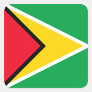 Pegatina Cuadrada Guyana