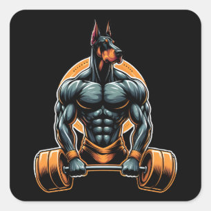 Pegatina Cuadrada GYM doberman dog bodybuilder powerlifter