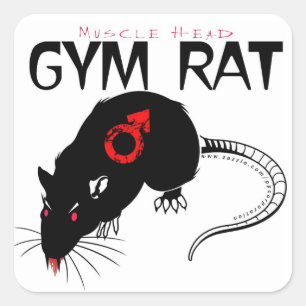 Pegatina Cuadrada Gym Rat