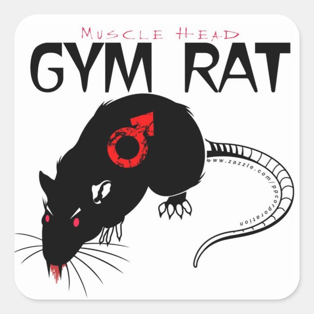 Pegatina Cuadrada Gym Rat (Anverso)