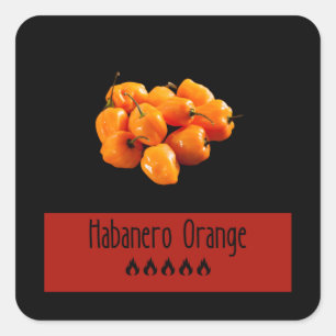 Pegatina Cuadrada Habanero Naranja