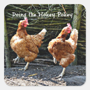 Pegatina Cuadrada Haciendo el Hokey Pokey, 