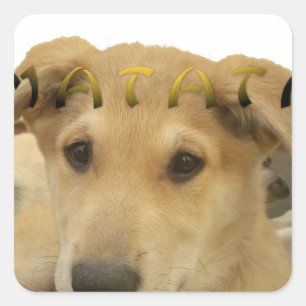 Pegatina Cuadrada Hakuna Matata Sé lo que estás pensando pinctur