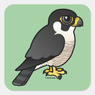 Pegatina Cuadrada Halcón Peregrino