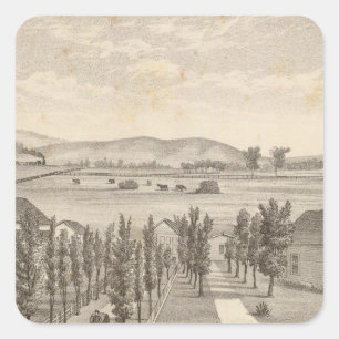 Pegatina Cuadrada Haley res, granja