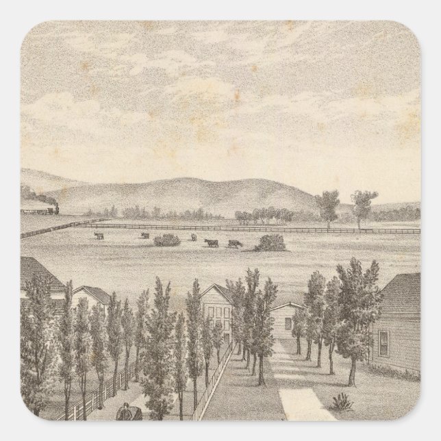 Pegatina Cuadrada Haley res, granja (Anverso)