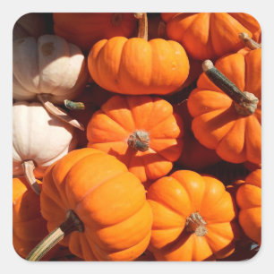 Pegatina Cuadrada Halloween calabazas de calabazas de naranja de lin