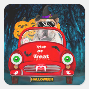 Pegatina Cuadrada Halloween con miedo al Bulldog inglés