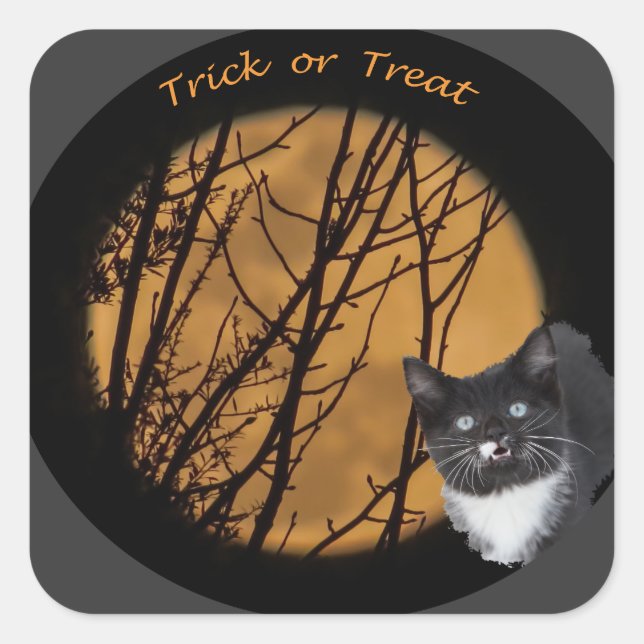 Pegatina Cuadrada Halloween de luna y gato negro (Anverso)