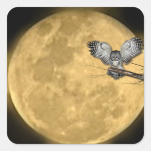 Pegatina Cuadrada Halloween Luna y Búho