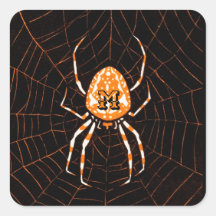Halloween Naranja negro de araña de cosecha person