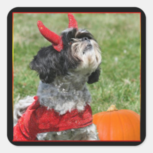 Pegatina Cuadrada Halloween Shih Tzu