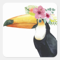 Halo tropical - Toucan
