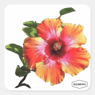 Pegatina Cuadrada HAMbWG Hibiscus Flower