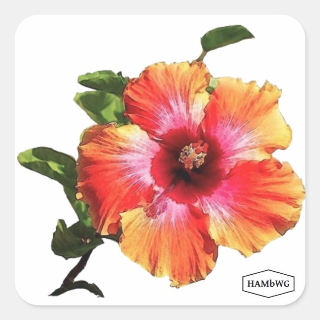 Pegatina Cuadrada HAMbWG Hibiscus Flower (Anverso)
