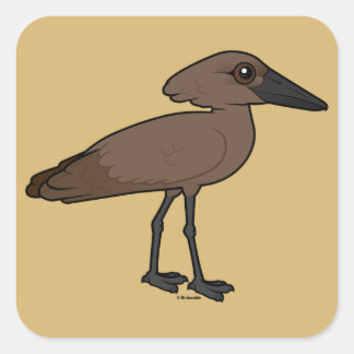 Pegatina Cuadrada Hamerkop