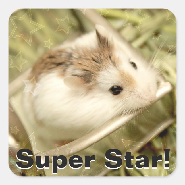Pegatina Cuadrada Hammyville - Cute Hamster (Anverso)