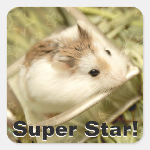 Pegatina Cuadrada Hammyville - Cute Hamster