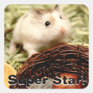 Pegatina Cuadrada Hammyville - Cute Hamster