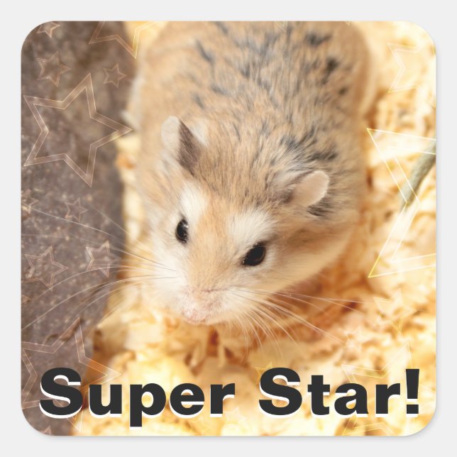 Pegatina Cuadrada Hammyville - Cute Hamster (Anverso)