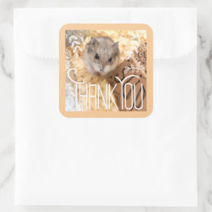 Pegatina Cuadrada Hammyville - Hamster Gracias